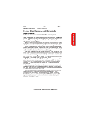 Introduction to Plants Worksheet