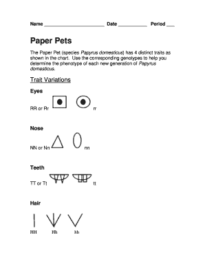 Paper Pets Genetics Worksheet