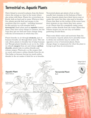 Terrestrial vs. Aquatic Plants Worksheet
