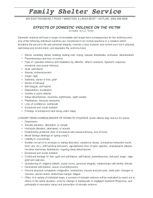Domestic Violence Safety Plan