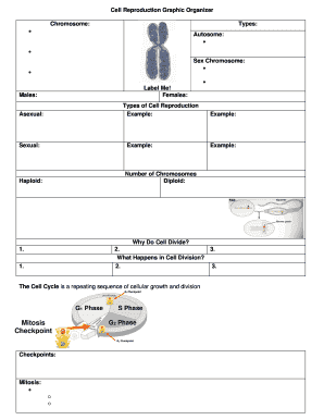 Cell Reproduction Graphic Organizer