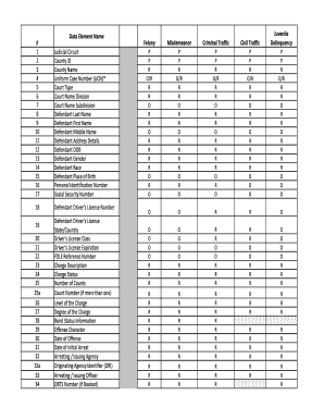 Florida Court Case Filing Form