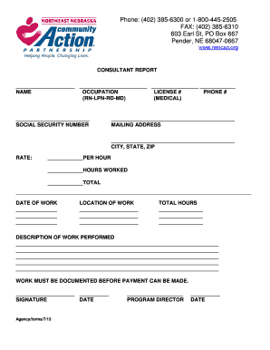 Consultant Report Form