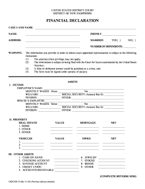 US District Court Financial Declaration
