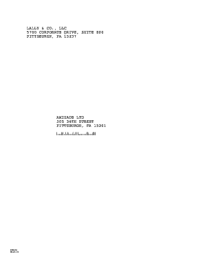 IRS Form 990 Return