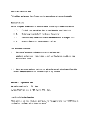 Wellness Plan Reflection Form