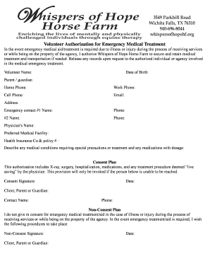 Volunteer Emergency Medical Treatment Authorization