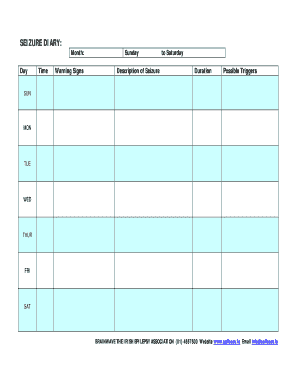 Seizure Diary Template
