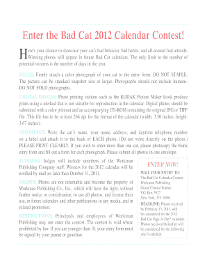Bad Cat 2012 Calendar Contest Entry Form