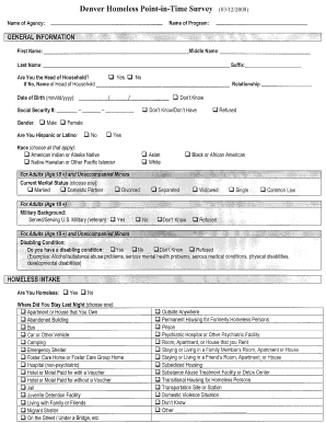 Denver Homeless Point-in-Time Survey