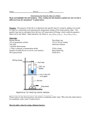 Science Lab Report Template
