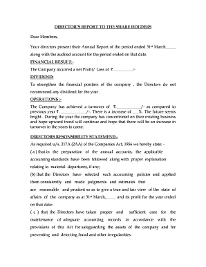 Director's Report to Shareholders