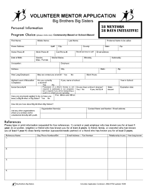 Big Brothers Big Sisters Volunteer Application