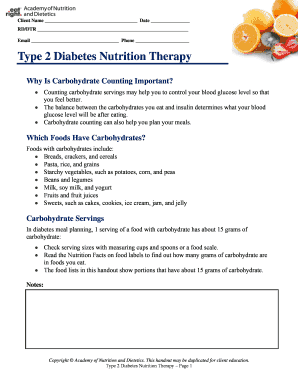 Type 2 Diabetes Nutrition Therapy Guide