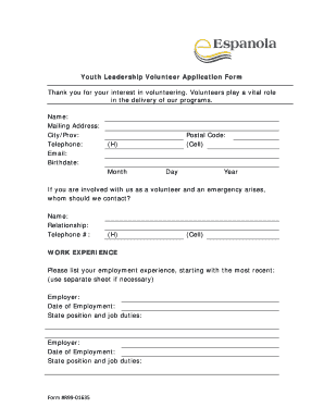 Youth Leadership Volunteer Application Form