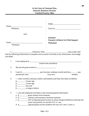 Financial Affidavit for Child Support