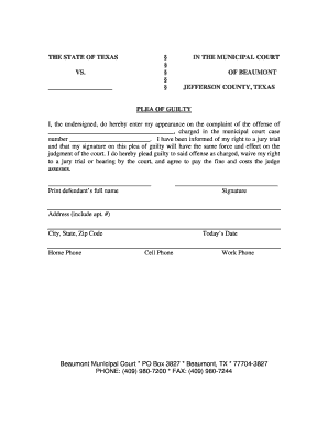 Texas Plea of Guilty Form