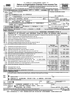 IRS Form 990 2009