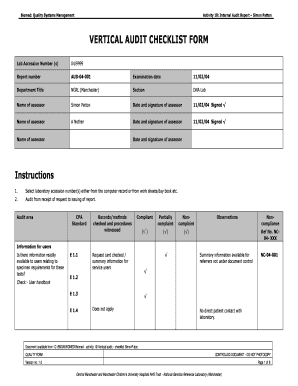 Internal Audit Report Form
