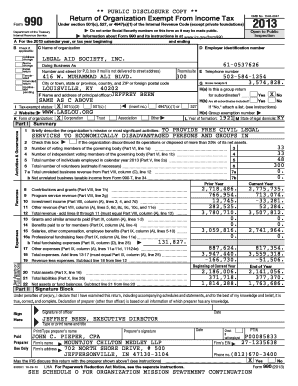IRS Form 990 2013
