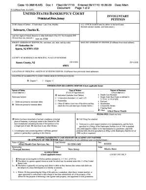 US Bankruptcy Involuntary Petition