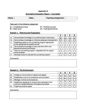 Counsellor Summative Evaluation Report