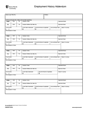 Employment History Addendum