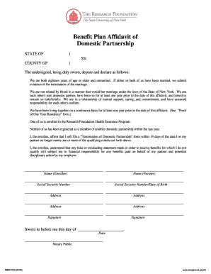 Domestic Partnership Affidavit