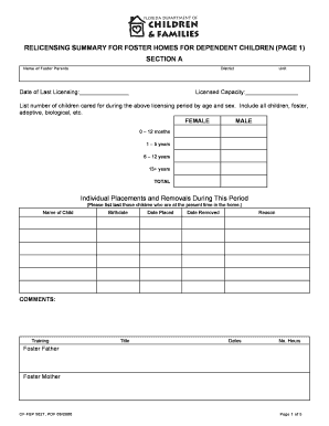 Foster Home Relicensing Summary