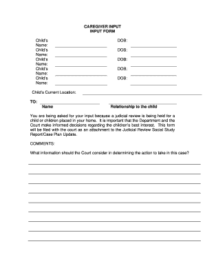 Foster Care Judicial Review Input Form