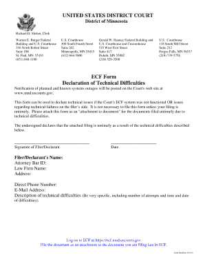 US District Court ECF Technical Difficulties Declaration