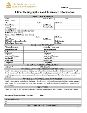 Client Demographics and Insurance Form