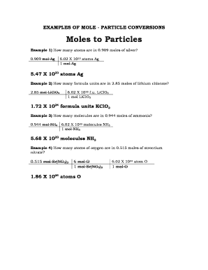 Particle to Mole Conversion Worksheet