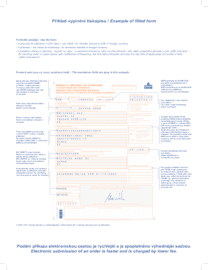 CZSOB International Transfer Form