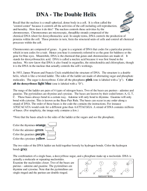 DNA Worksheet