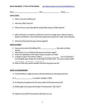 DNA Basics Worksheet