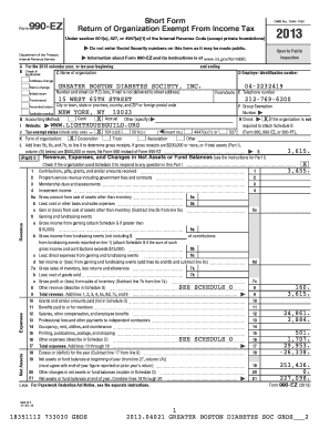 Form 990-EZ 2013