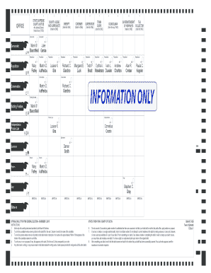 New York General Election Ballot