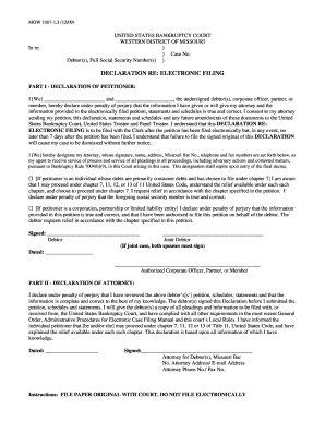 US Bankruptcy Court Electronic Filing Declaration