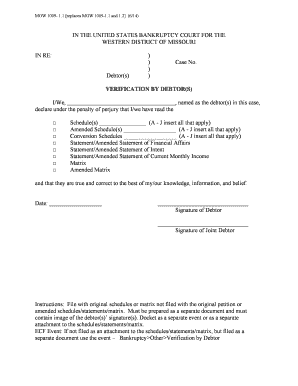 Verification by Debtor Form