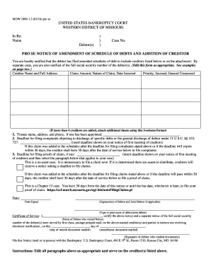 Pro Se Notice of Amendment of Schedule of Debts