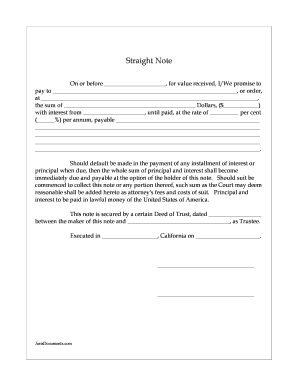 Straight Promissory Note