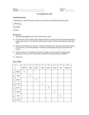 Precipitation Lab Form