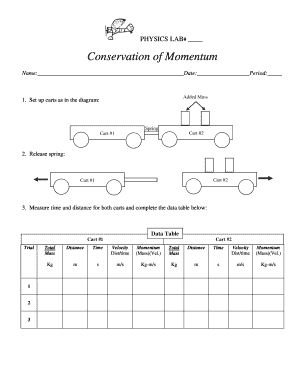 Physics Lab Report on Conservation of Momentum