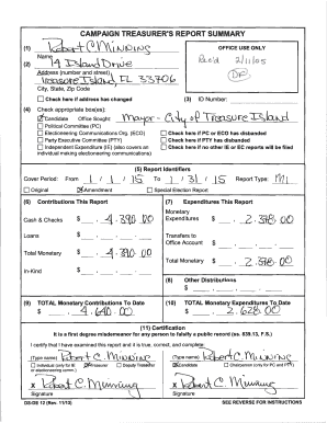 Campaign Treasurer's Report Summary