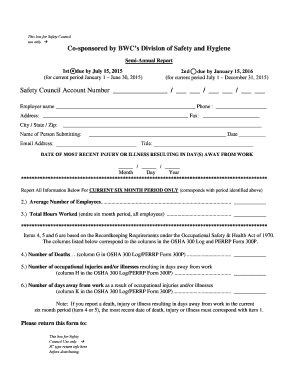 Semi-Annual Safety Council Report