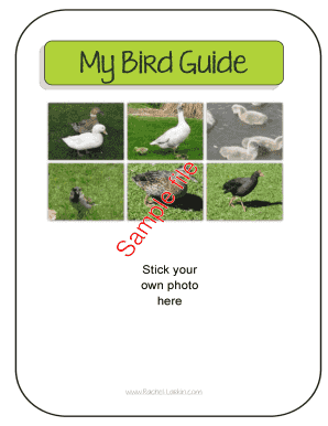Bird Watching Guide Template