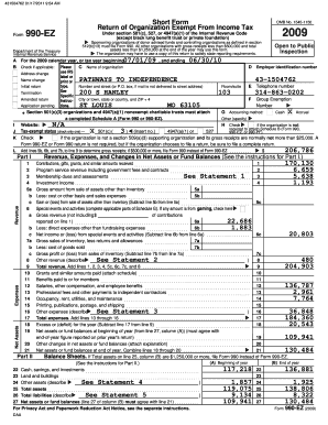 Form 990-EZ Tax Return
