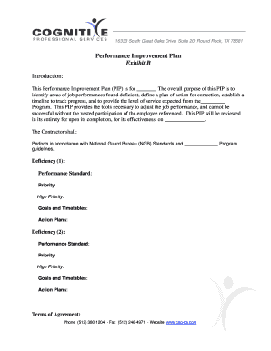 Performance Improvement Plan
