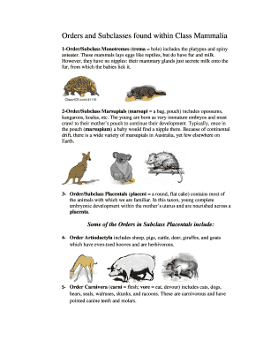 Mammalia Orders Worksheet
